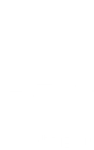 Audit'Eau